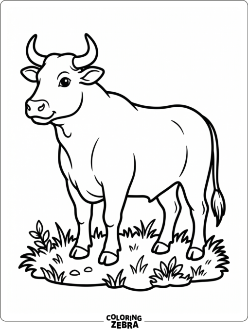 A standing bull with a calm pose and simple grass