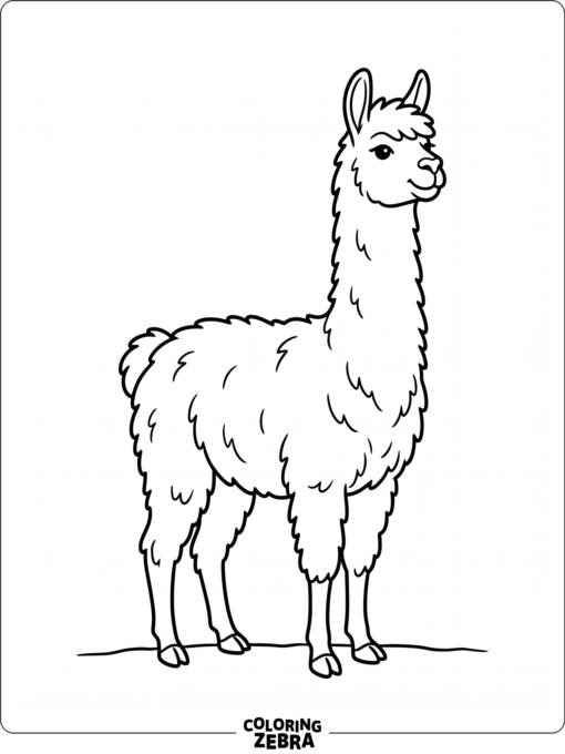 A standing llama with a long neck and bold outlines