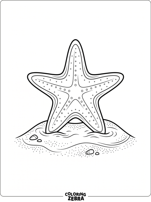 A starfish outline with a simple sand base
