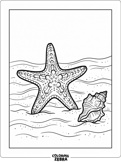 A starfish resting on sand beside a shell