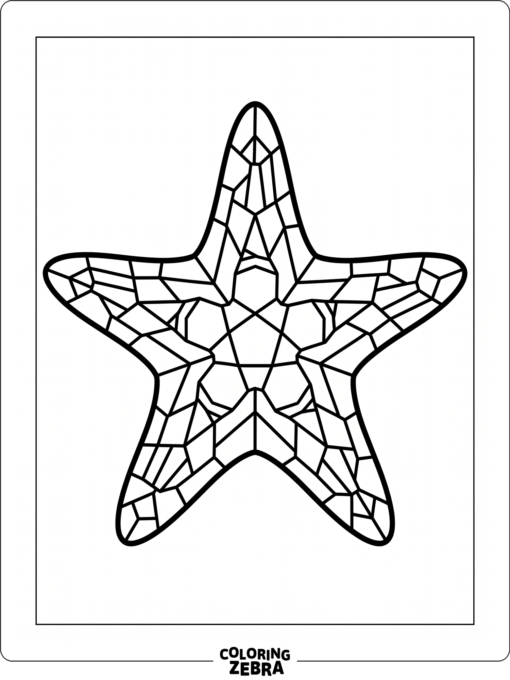 A starfish divided into geometric mosaic pieces