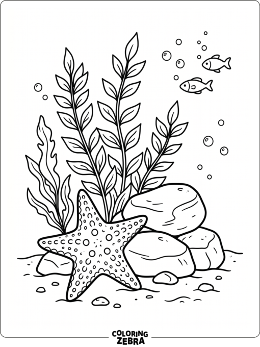 A starfish in a simple ocean habitat with seaweed