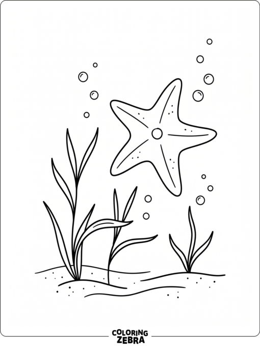A starfish underwater with sea grasses around it