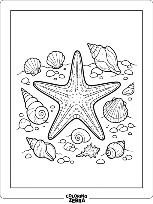 A starfish surrounded by seashells and pebbles