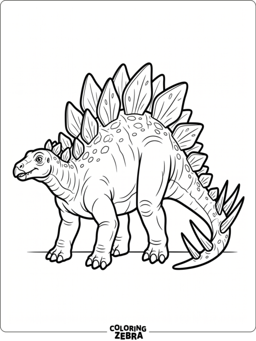 A stegosaurus side view with a clear outline