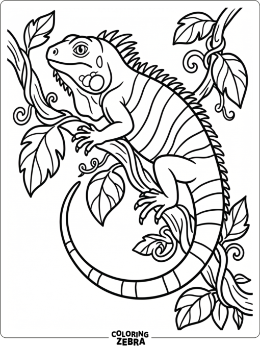 A striped iguana curled on a vine