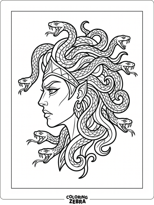 A stylized gorgon profile with snake hair