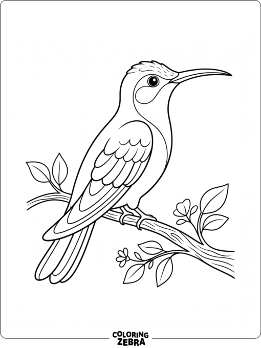A stylized hummingbird resting on a branch