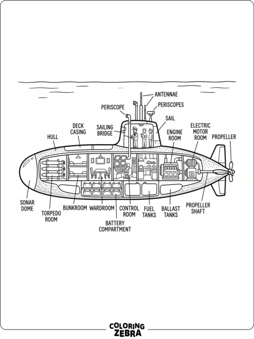 A submarine cutaway diagram with internal sections