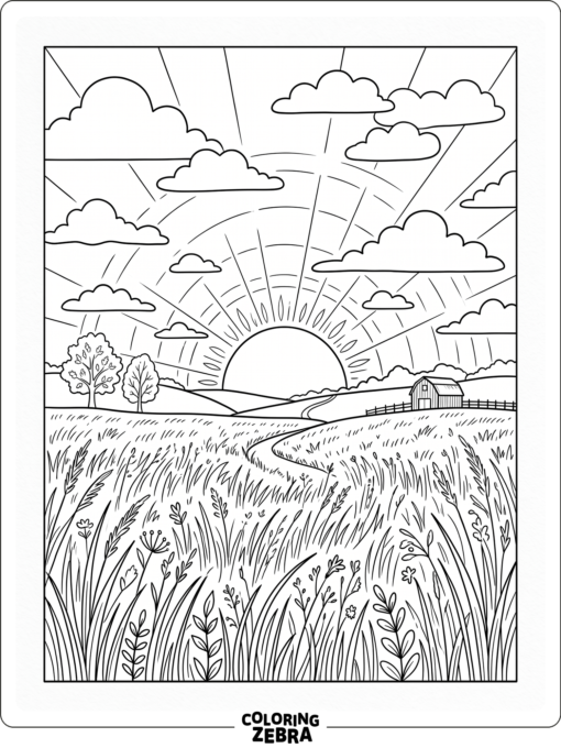 A summer sunset over tall grass and a quiet field