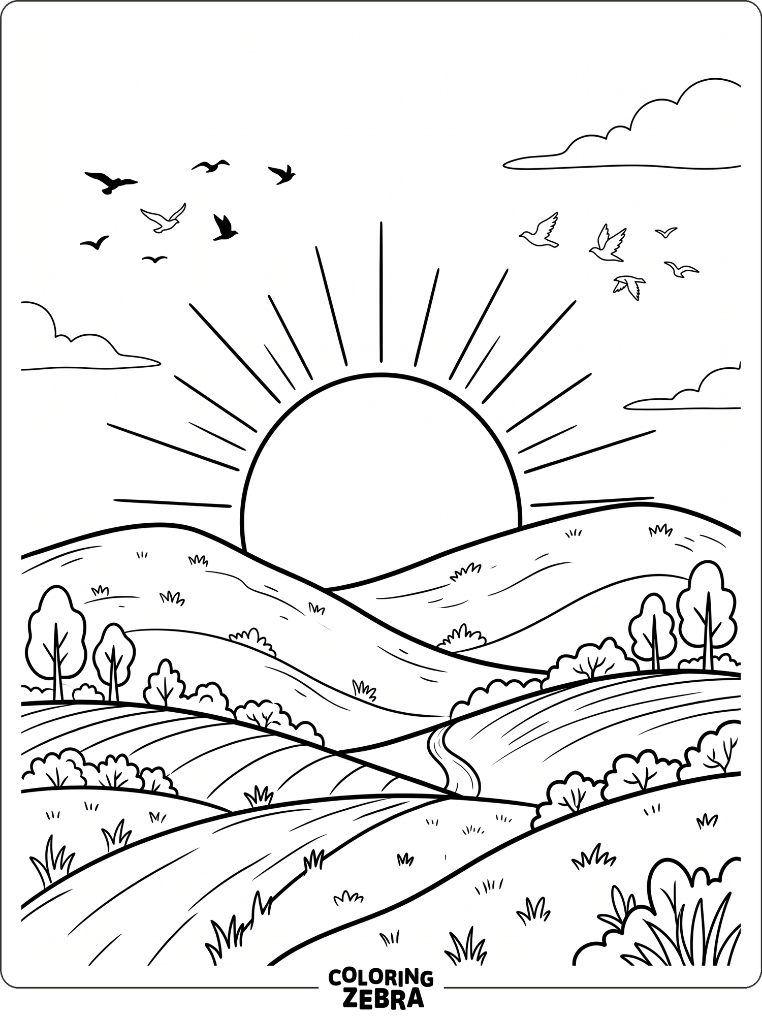 A simple sun setting over gentle hills with a few birds