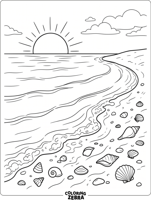 A beach sunset with shells, surf, and a setting sun
