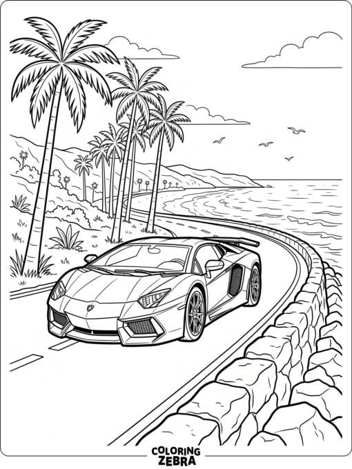 A supercar driving along a coastal road