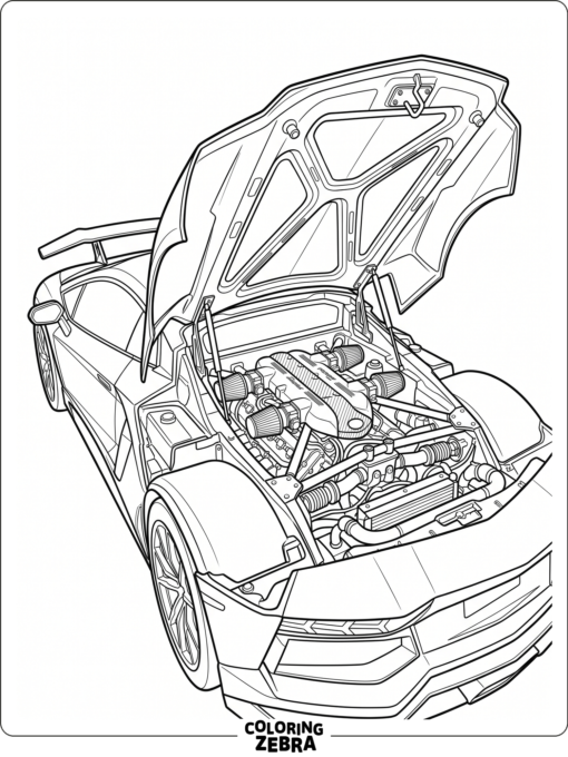 A supercar engine with the hood open