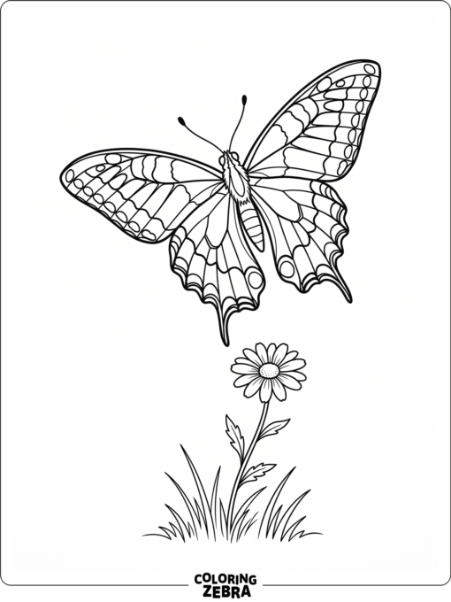A swallowtail butterfly flying over a flower