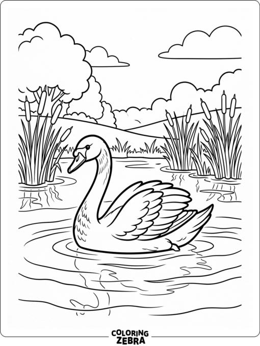A graceful swan gliding on calm water with reeds