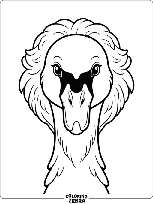 A front-facing swan face with calm eyes