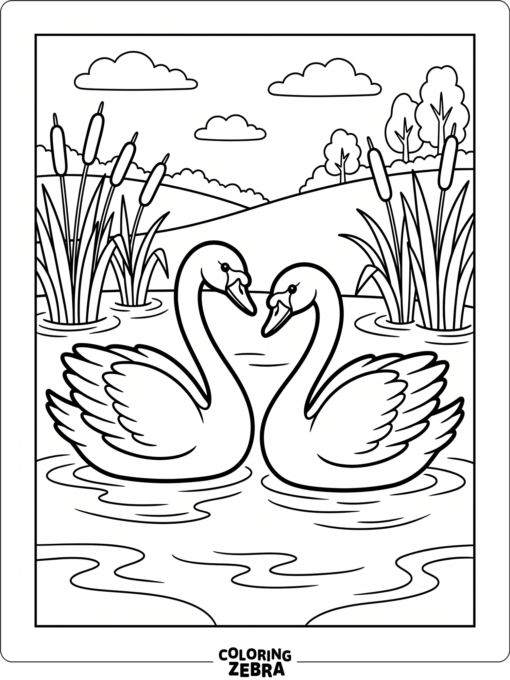 Two swans facing each other on a calm pond