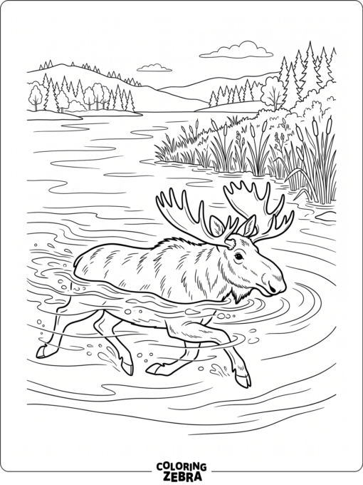 A moose swimming in a lake near reeds