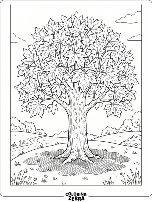 A sycamore tree with broad leaves and a shaded ground patch