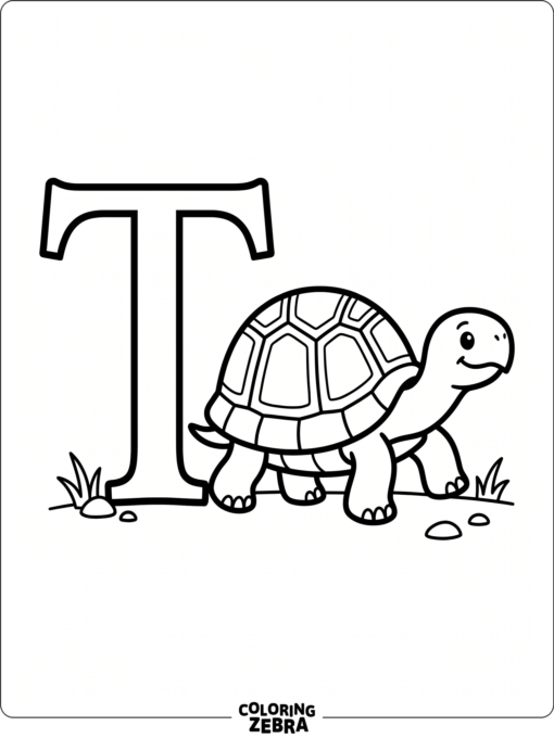 A turtle next to a large letter T