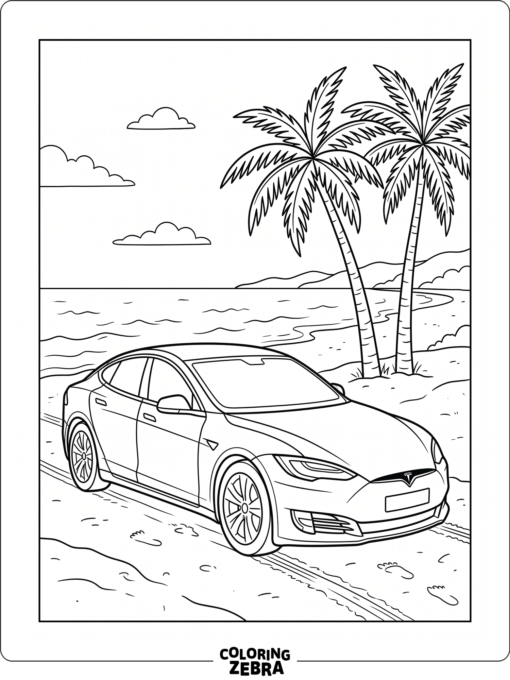 A Tesla parked near the beach with palm trees