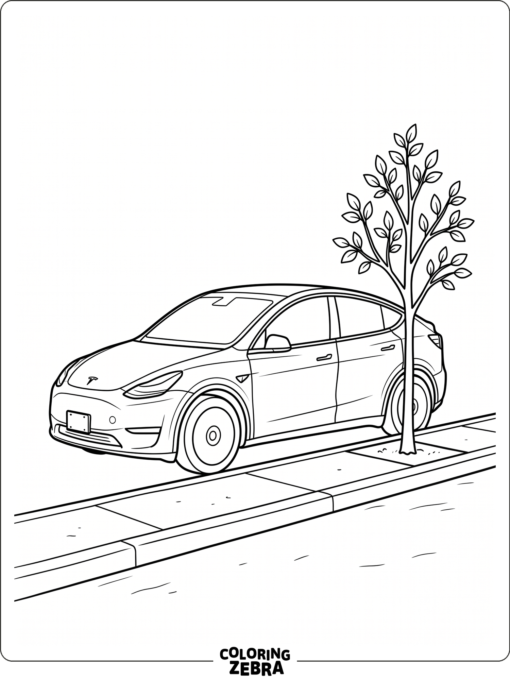 A Tesla Model Y near a curb and tree