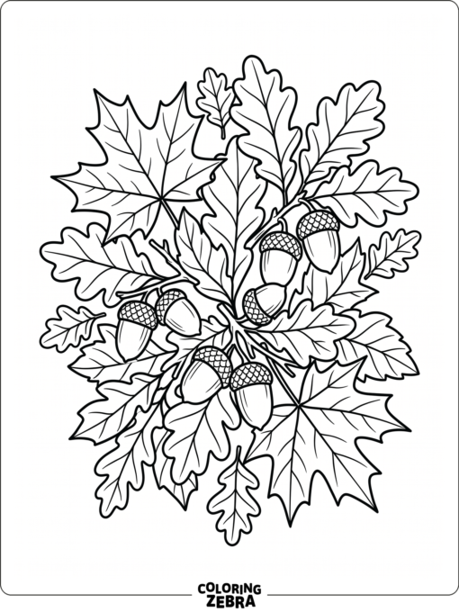 Maple and oak leaves with a few acorns