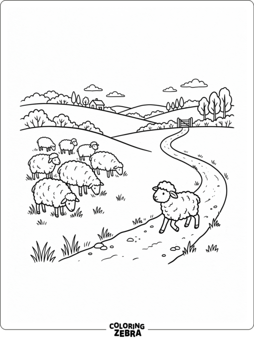 A lost sheep walking alone on a path