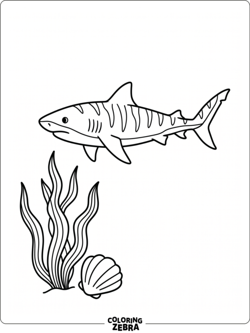 A tiger shark swimming past seaweed and a shell