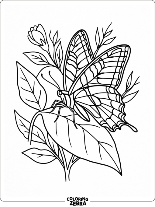 A tiger swallowtail butterfly on a leaf