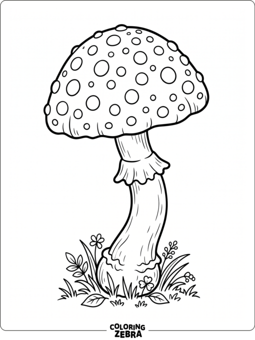 A classic toadstool with a spotted cap and curved stem