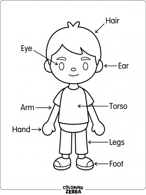 Toca Boca body outline with labeled parts and simple pose