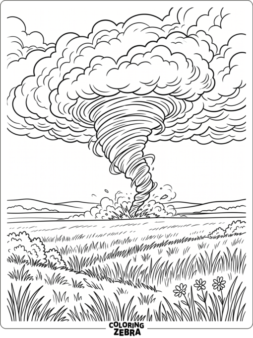 A tornado moving across an open field