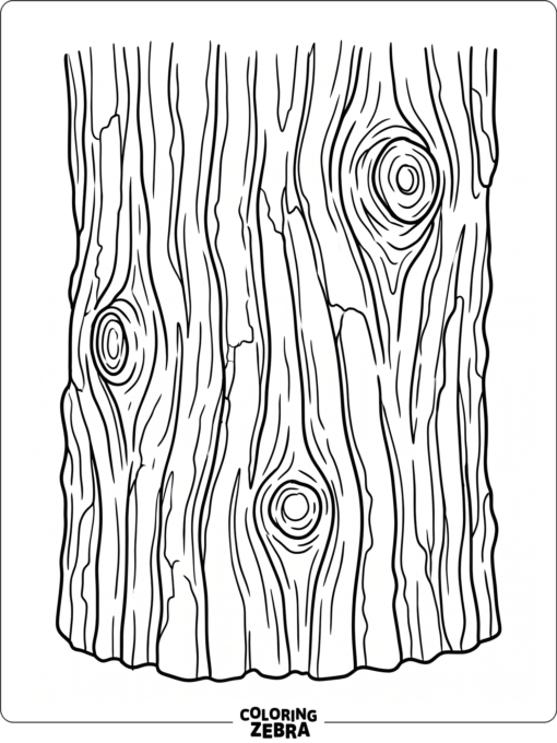 A close-up view of tree bark with ridges