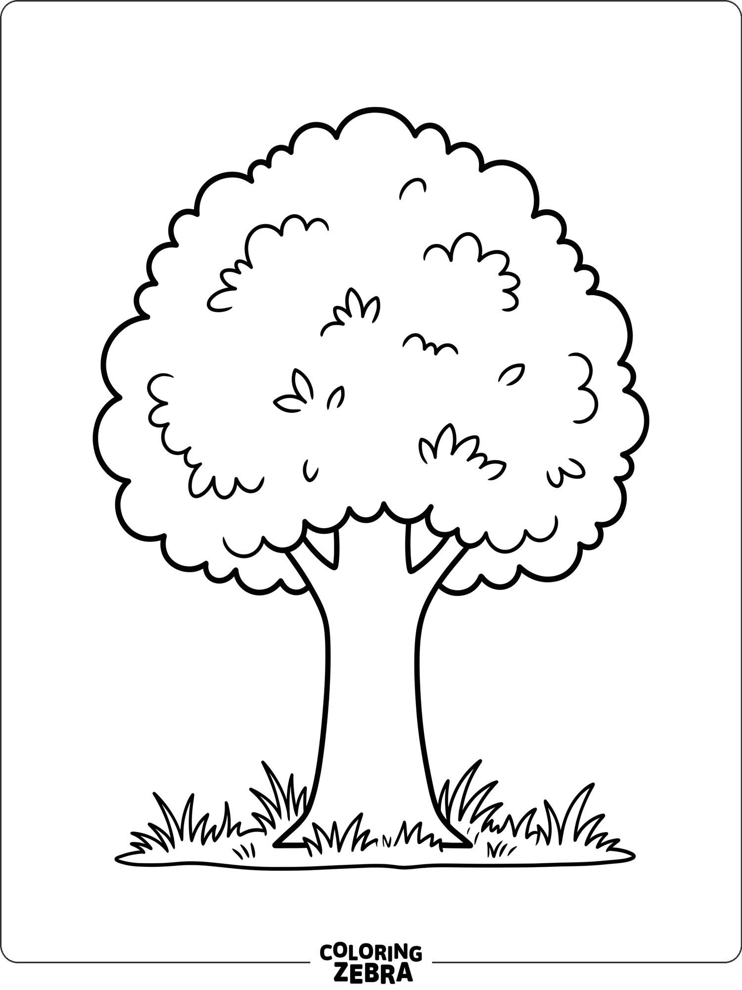 A clean tree with a rounded top and open space below