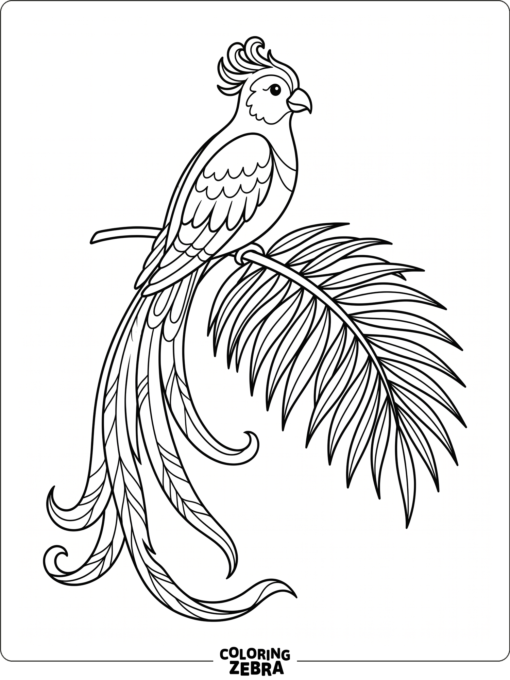 A tropical bird with long tail feathers on a palm frond