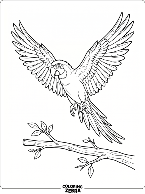 A flying parrot with wings spread wide