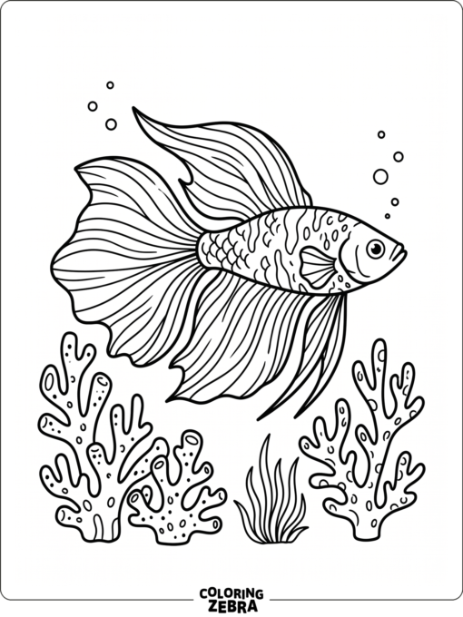 A tropical fish with flowing fins and coral