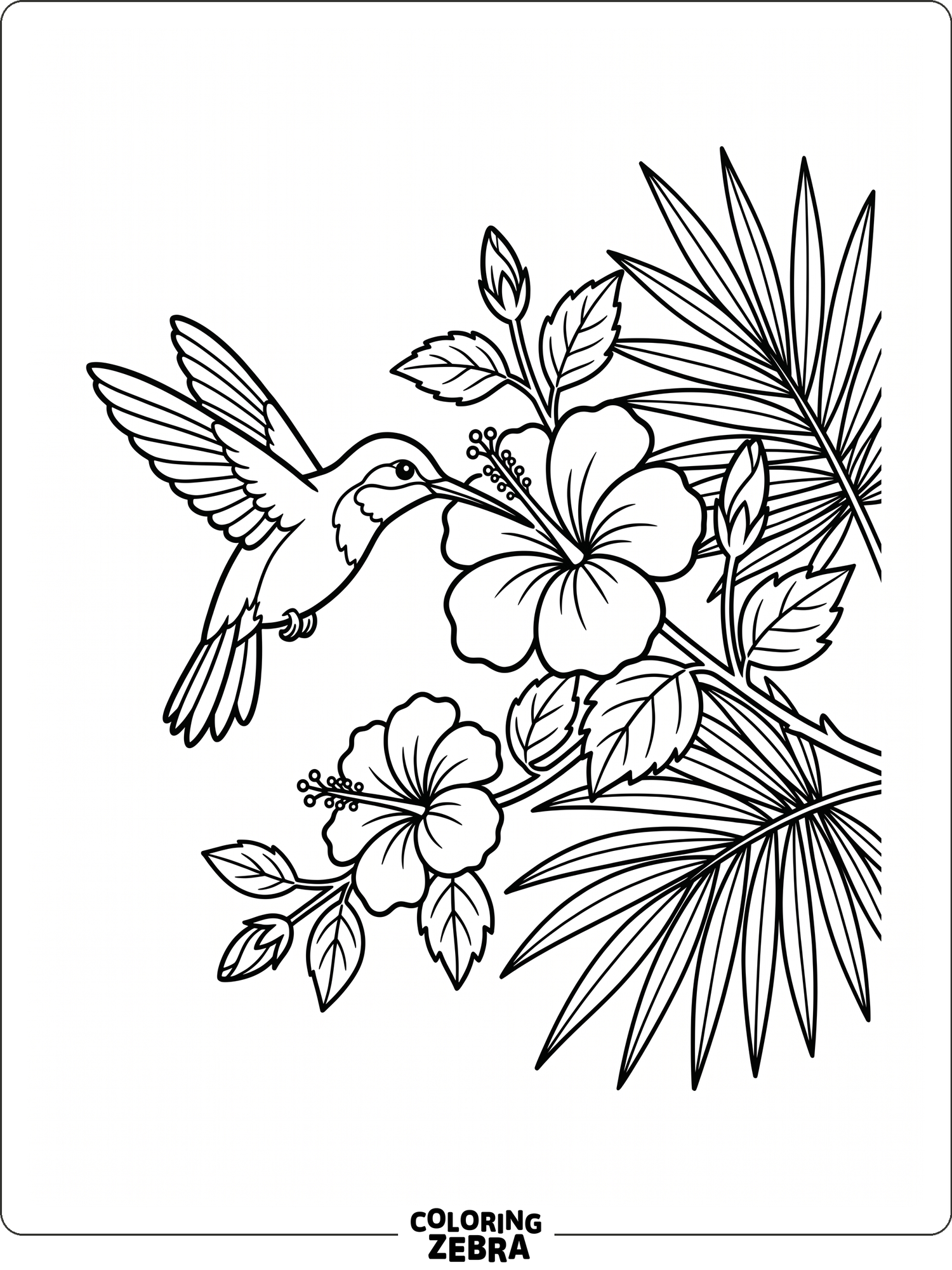 32 Free Hummingbird Coloring Pages - Printable PDF Sheets
