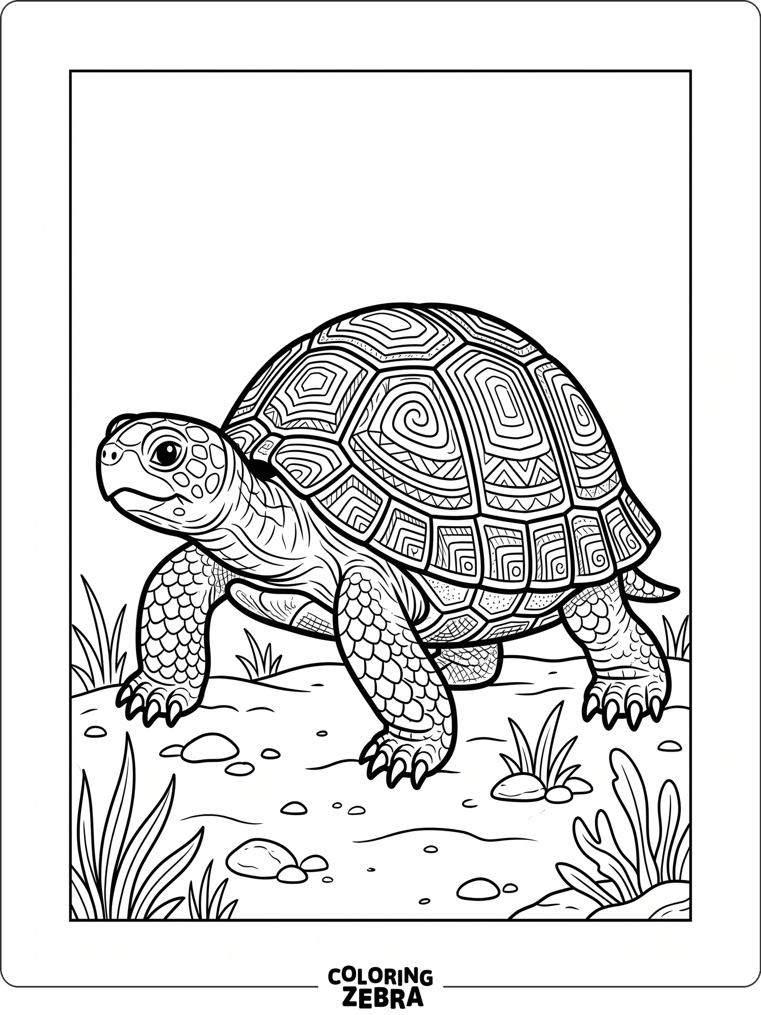 Turttle To Color 38 Free Turtle Coloring Pages - Printable PDF Sheets