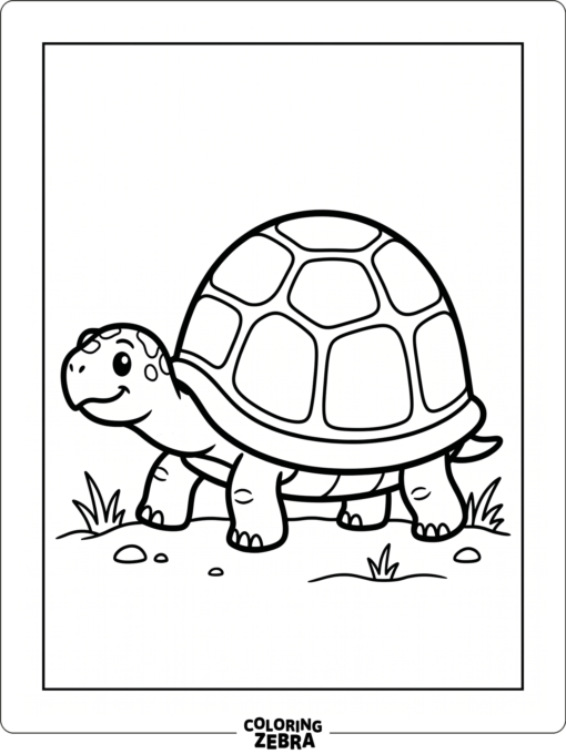 A turtle outline with a large open shell and clean borders