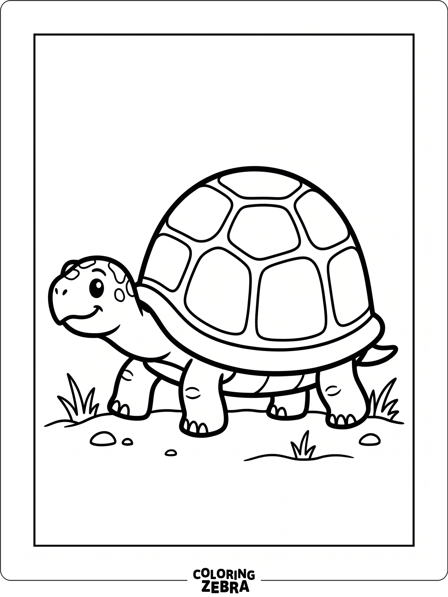 38 Free Turtle Coloring Pages - Printable PDF Sheets