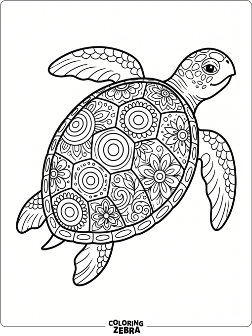 A turtle shell with mandala circles and floral shapes