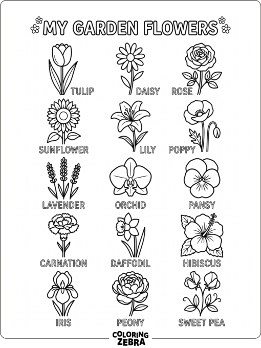 Different flowers arranged in neat rows