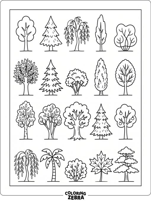 Several tree types shown in a simple row