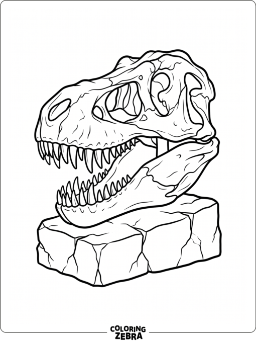 A Tyrannosaurus rex skull on a stone base