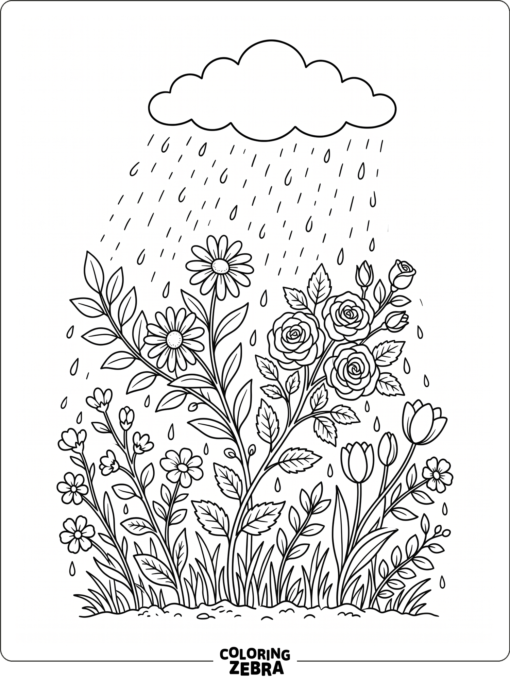 Flowers getting a light rain shower