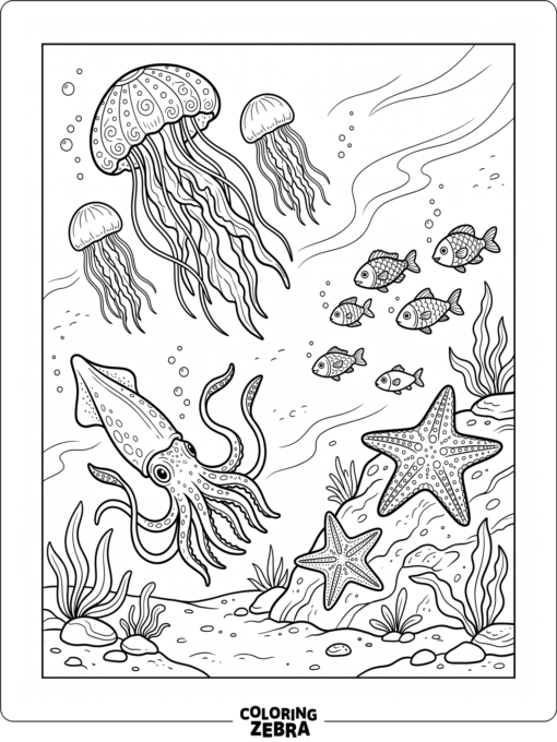 Jellyfish, squid, starfish, and fish underwater