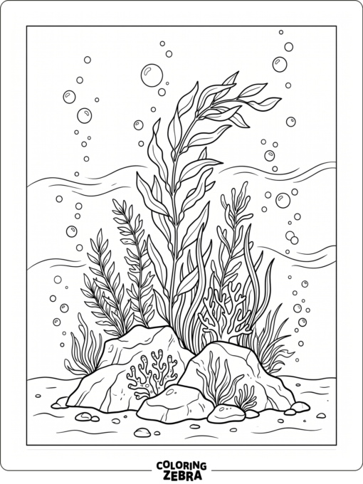 Simple underwater plants growing from rocks